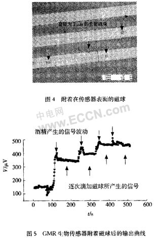 基于GMR效应的新型生物传感器研究如图