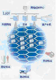 无线数据专网在监控、监测领域的应用如图