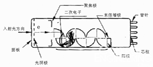 图1  端窗型光电增管的剖面结构图