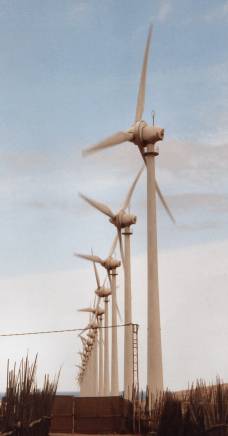 加那利群岛（Canary Island）西班牙Gran Canaria风力发电厂